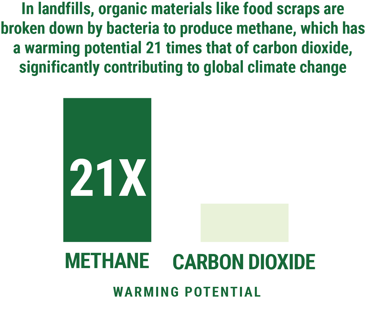 In landfills, organic materials like food scraps are broken down by bacteria to produce methane, which has a warmin potential 21 times that of carbon dioxide, significantly contributing to global climate change.